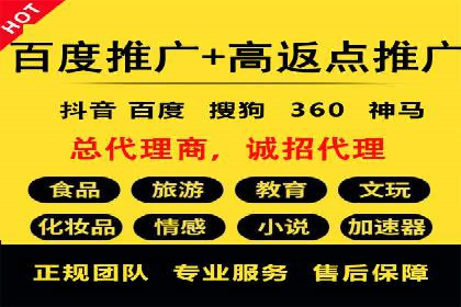 百度竞价广告成功案例：如何实现ROI最大化